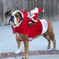 Dog Costume Christmas Pet Clothes